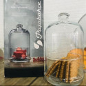Емкость с крышкой 11,8 см Pasabahce Patisserie 96889