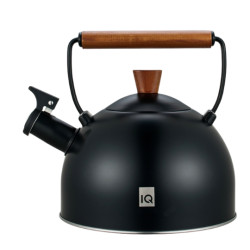 Чайник IQ Вe Natural 2.5 л (IQ-1003)
