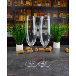 Бокалы для шампанского Bohemia Gastro (Colibri) 220 мл/6шт