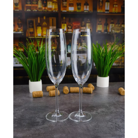 Бокалы для шампанского Bohemia Gastro (Colibri) 220 мл/6шт
