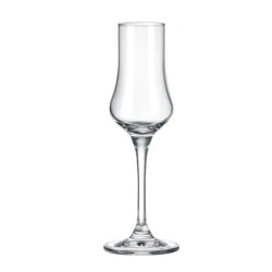 Набір чарок 100мл/2шт Rona Premium Barware Universal 65099 0 100