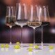 Набір келихів для вина 450мл/2шт Rona Premium Wine Polaris 7251/UM 0 450