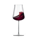 Набір келихів для вина 450мл/2шт Rona Premium Wine Polaris 7251/UM 0 450