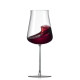 Набір келихів для вина 760мл/2шт Rona Premium Wine Polaris 7251/UM 0 760-2
