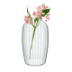 Ваза 30см Rona Ambiente Optical 5446/P 0 30