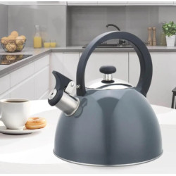 Чайник зі свистком 2,5л Maestro MR-1302-GREY