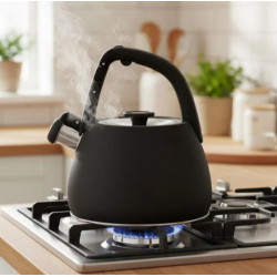 Чайник зі свистком 2,5л Maestro MR-1318-BLACK
