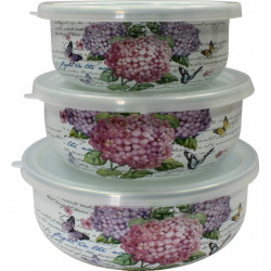 Набор емкостей для хранения продуктов 6 пр Гортензия Interos 15041