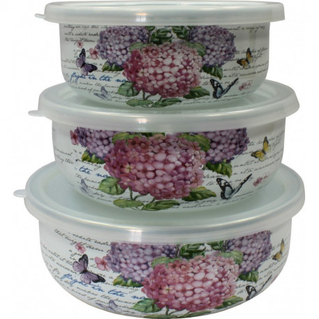 Набор емкостей для хранения продуктов 6 пр Гортензия Interos 15041