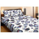Постельное белье двуспальное Lotus Ranforce - Points