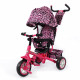 Велосипед 3-х колесный BT-CT-0005 Zoo-Trike TILLY T-342 Crimson 1