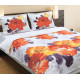 Постельное белье полуторное Колорит "Premium collection" К-025 Акварель