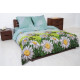 Постельное белье двуспальное Колорит "Premium collection" К-019 Наутилус