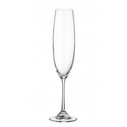Набор бокалов для шампанского 6шт 250мл Bohemia Barbara (Milvus) 1SD22 /250