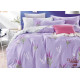 Постельное белье двуспальное Вилюта Сатин твил 489
