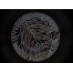 Тарелка десертная 20см Astera Tropical Black A0670-TB002